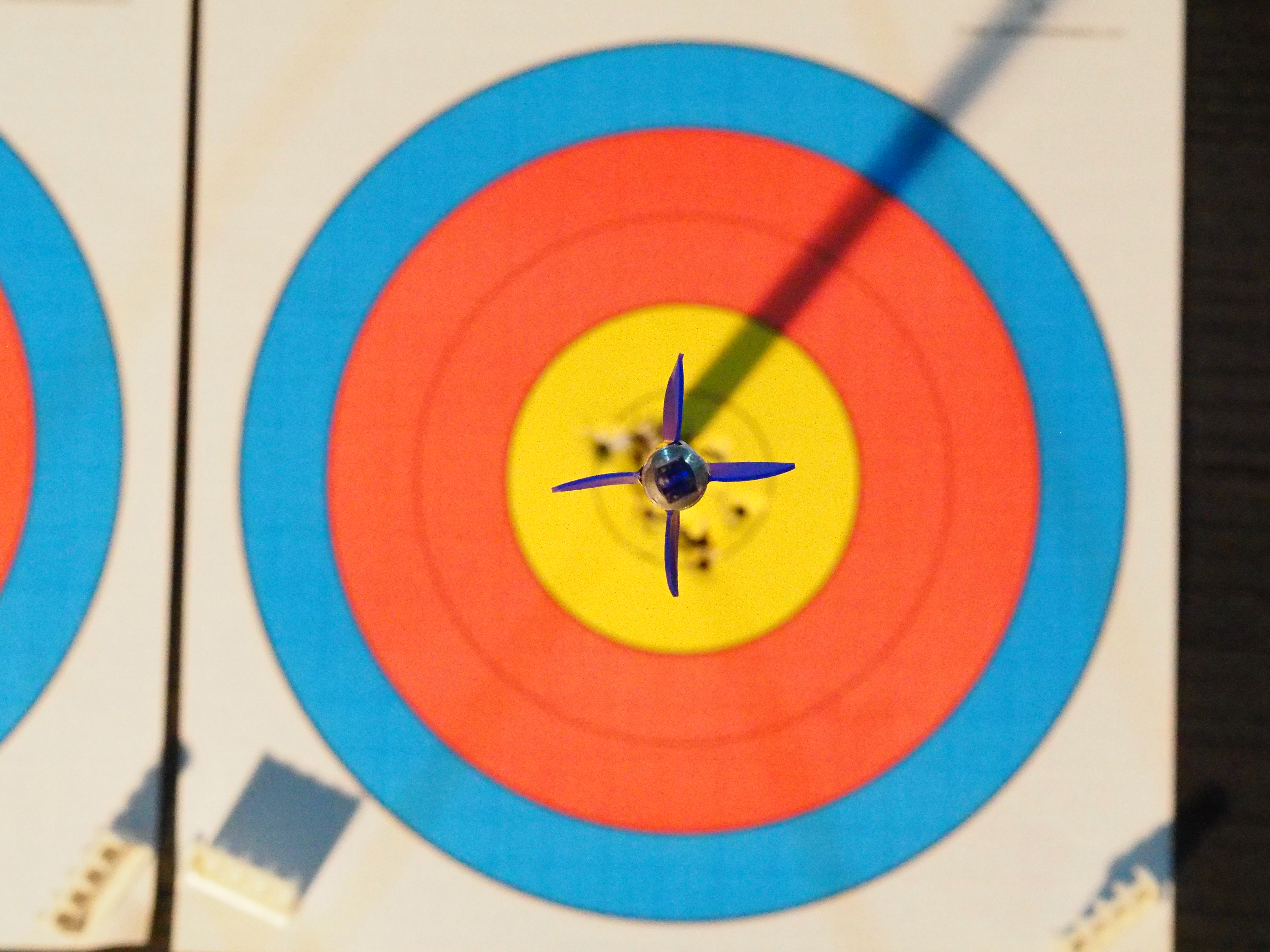 Fancy trying archery on a cruise ship?